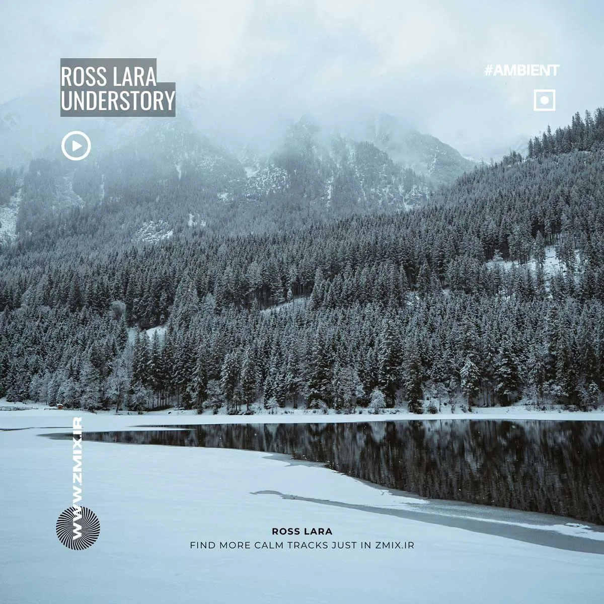 Understory - Ross Lara