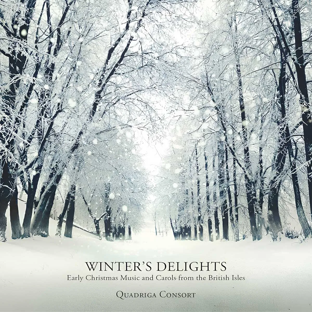Winter Snow - Virginio Aiello
