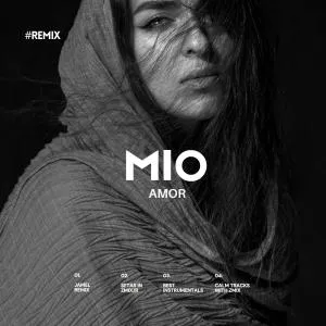 Amor Mio (remix)