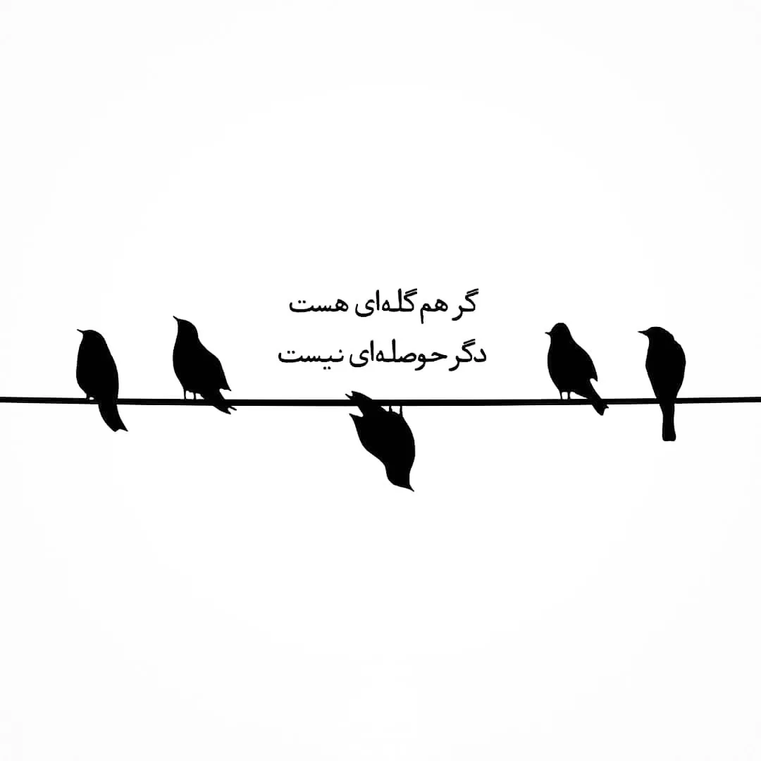 نیلا - nila