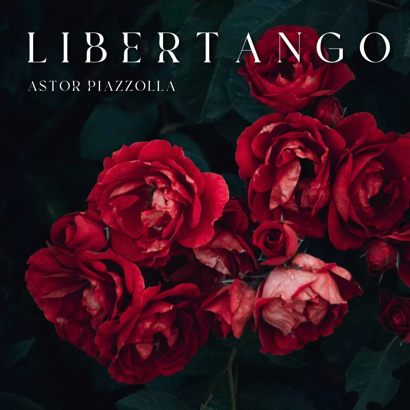 Libertango - Piazzolla [Trumpet]