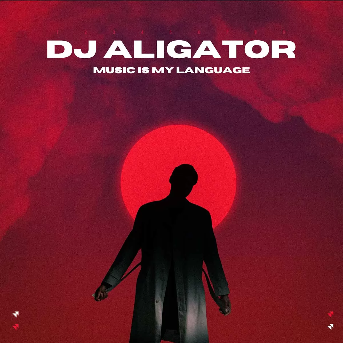 Music Is My Language