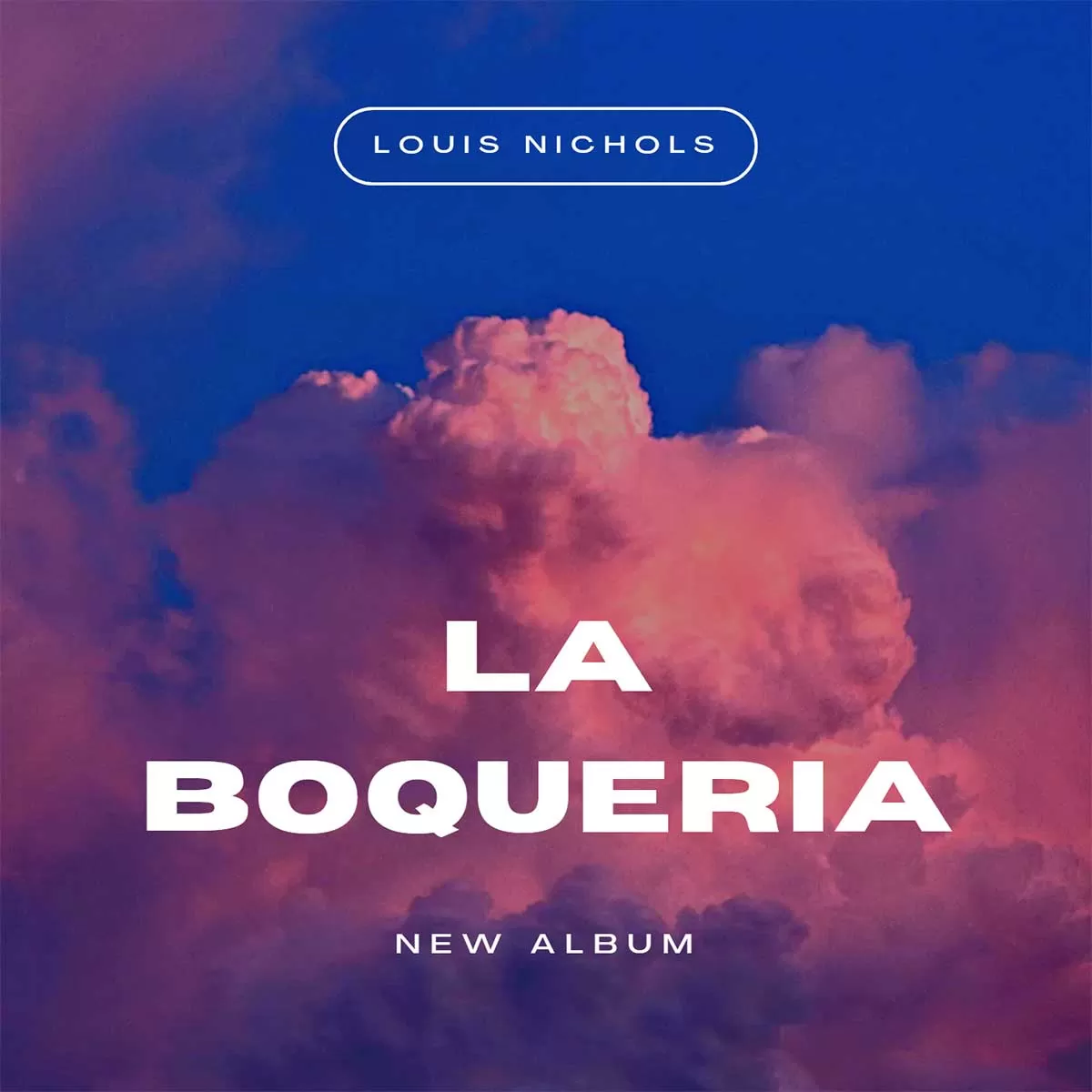 La Boqueria - Louis Nichols