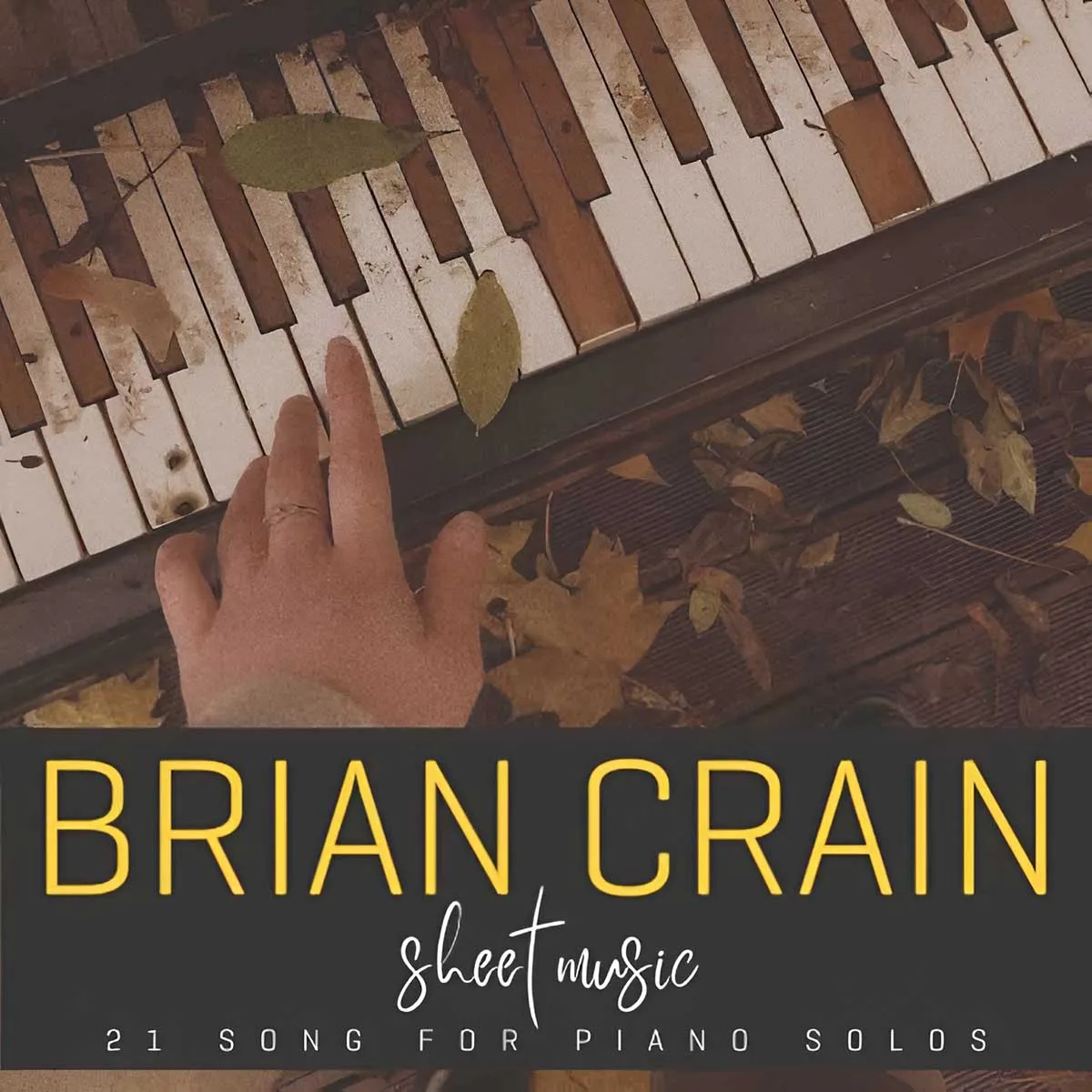 Brian Crain -  Earth