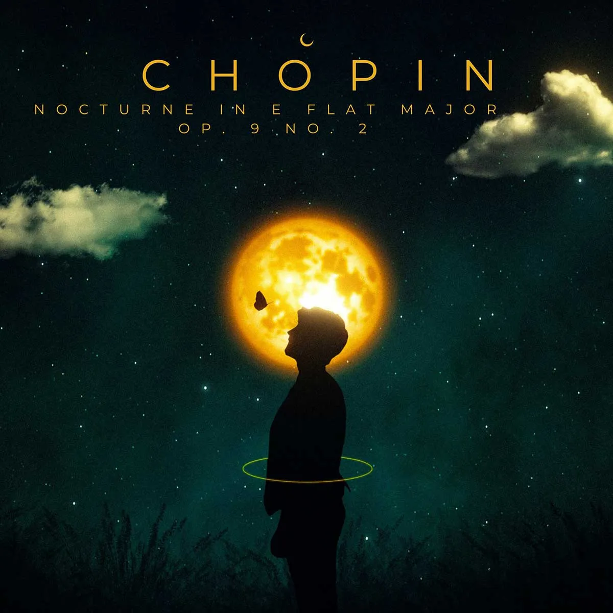 Nocturne Op. 48 No. 1