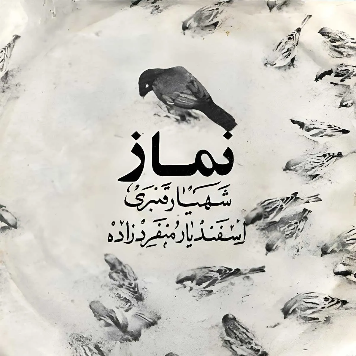 Moondance - Farzin Farhadi