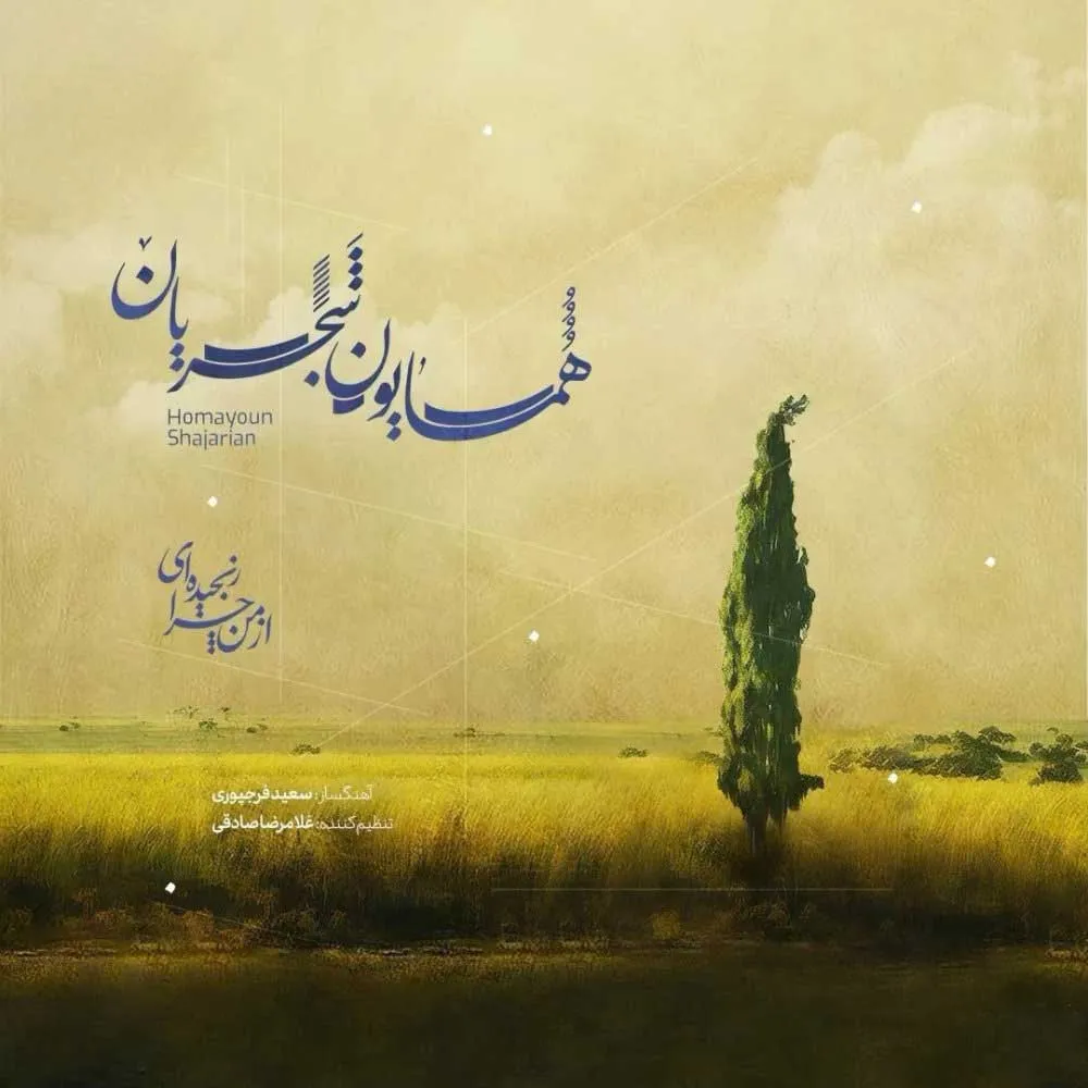 از من چرا رنجیده ای؟