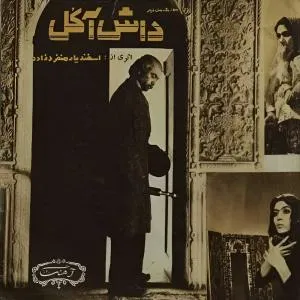 سینمایی دختر شیرازی